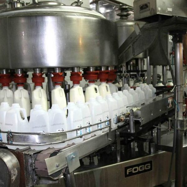 El sector lácteo podría mejorar sus ventas en u$s 100M si realiza una fuerte inversión en riego