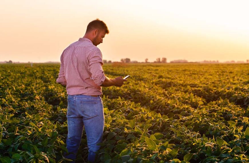 Cómo la trazabilidad en el agro genera nuevas oportunidades