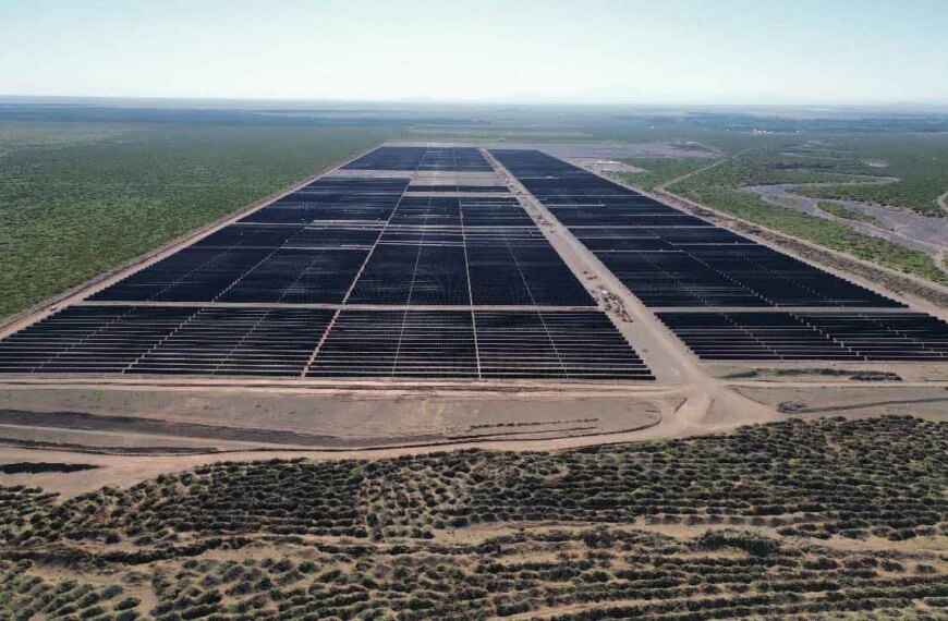 construyen parque con 250.000 paneles