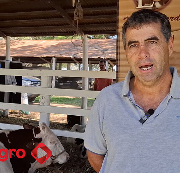 Un mano a mano con el impulsor de la raza Montbéliarde en Argentina