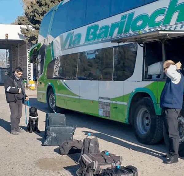 Recomendaciones para quienes viajan a la Patagonia con productos alimenticios
